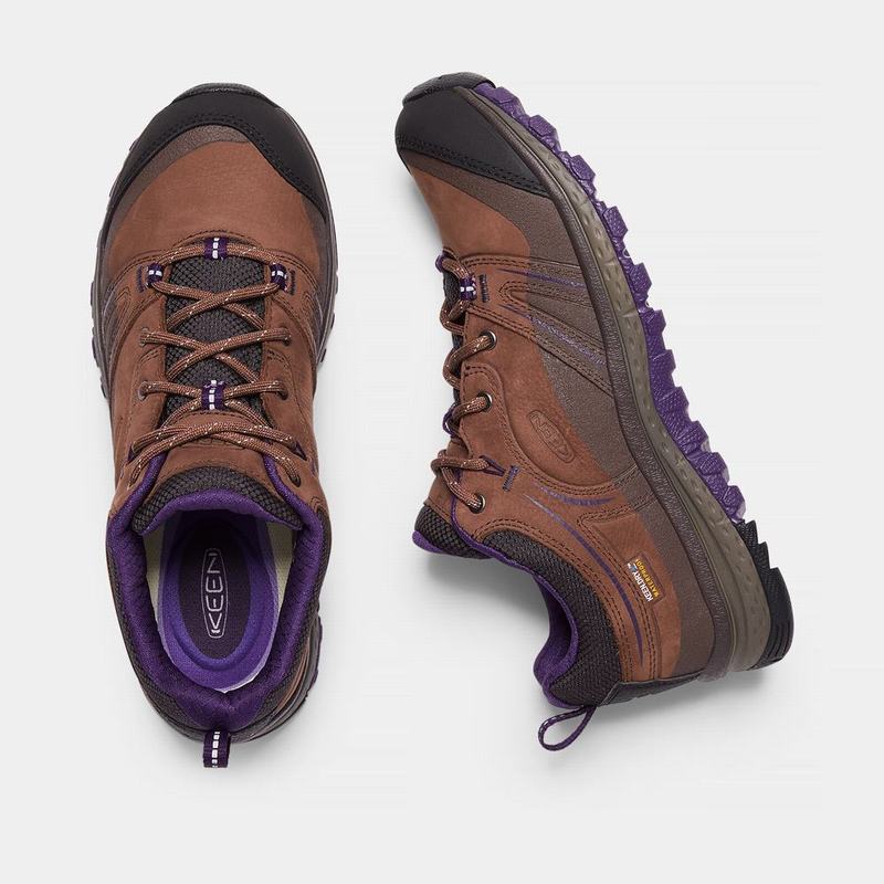 Zapatos Trekking Keen Terradora Cuero Waterproof Para Mujer Marrom/Morados - Zapatos Keen Mexico (28